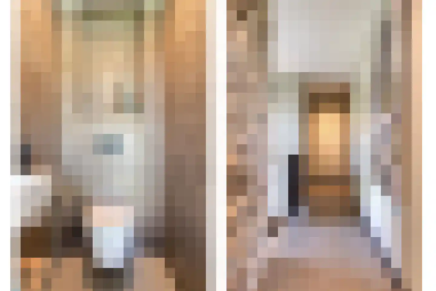 de Stege 1 Veessen thumbnail 21
