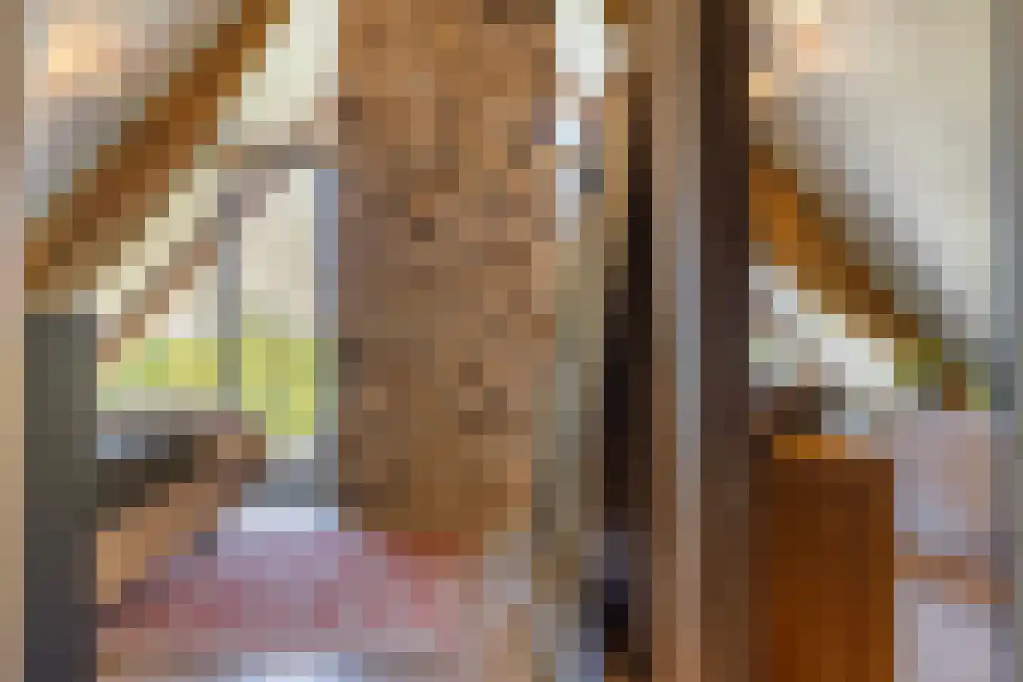 de Stege 1 Veessen thumbnail 22