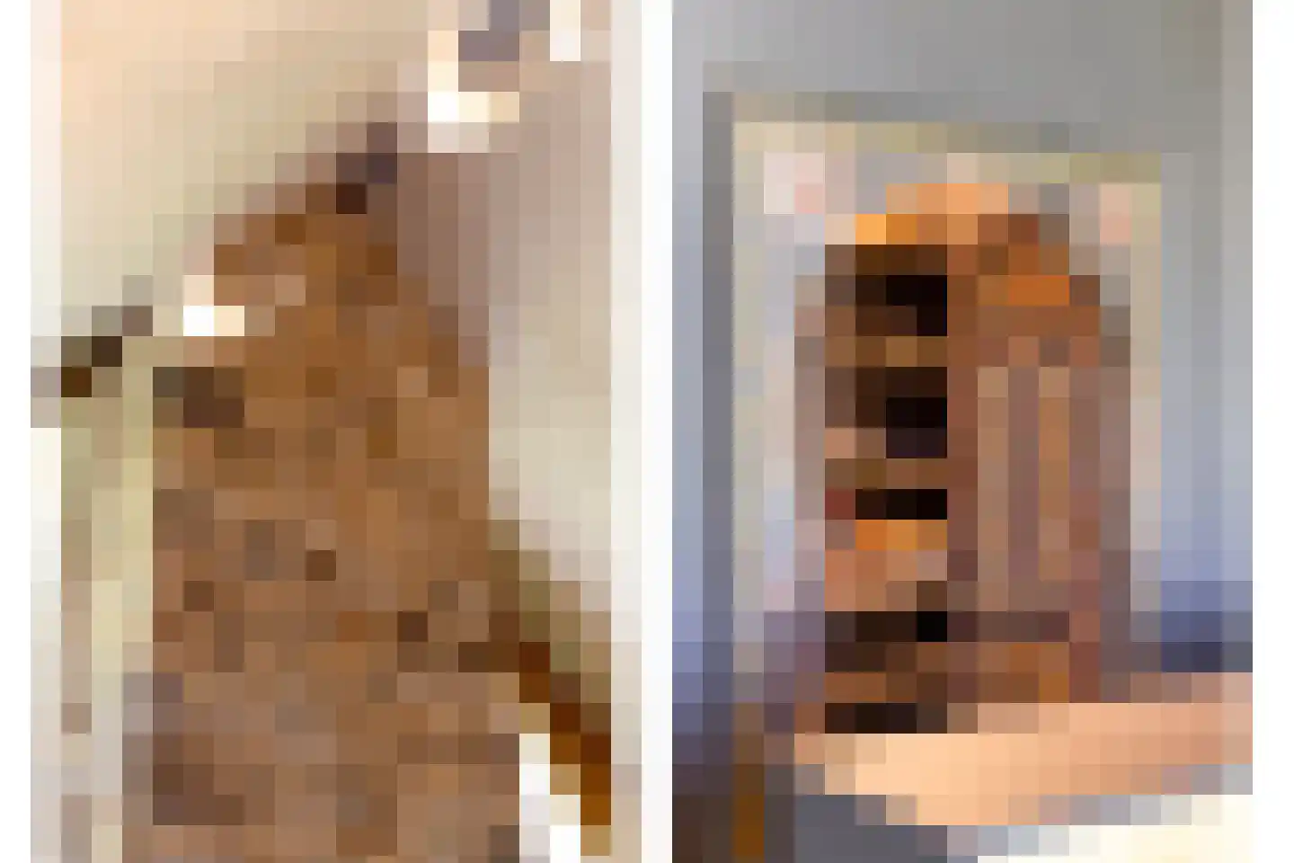 de Stege 1 Veessen thumbnail 25