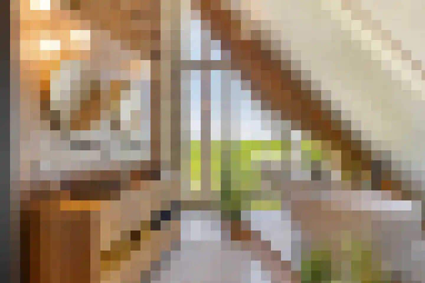 de Stege 1 Veessen thumbnail 27