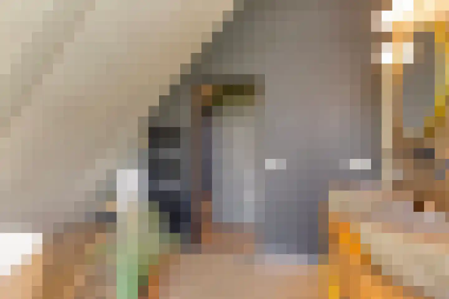 de Stege 1 Veessen thumbnail 28