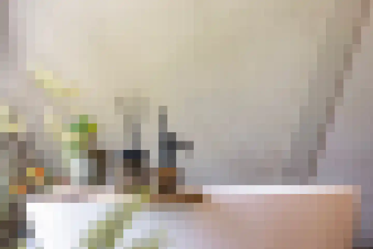 de Stege 1 Veessen thumbnail 30