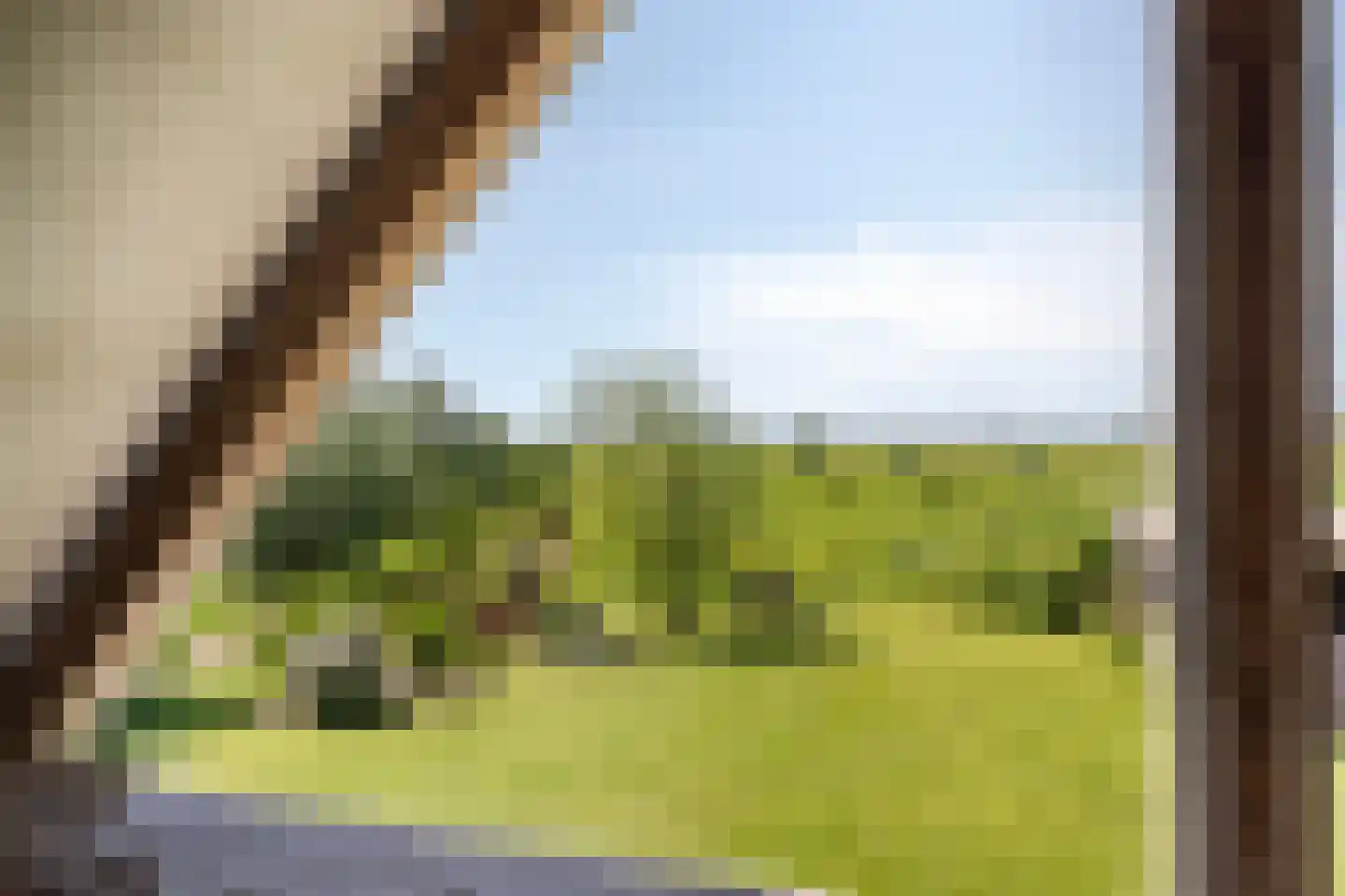 de Stege 1 Veessen thumbnail 32