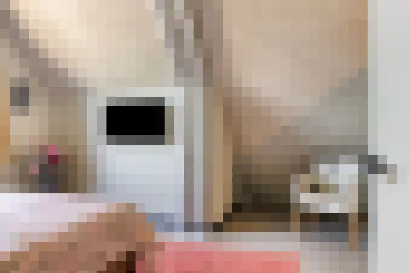 de Stege 1 Veessen thumbnail 35