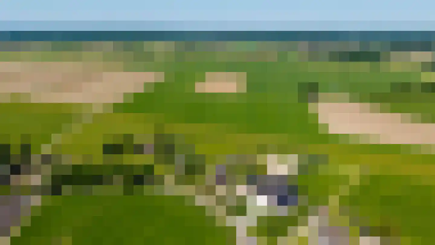 de Stege 1 Veessen thumbnail 40