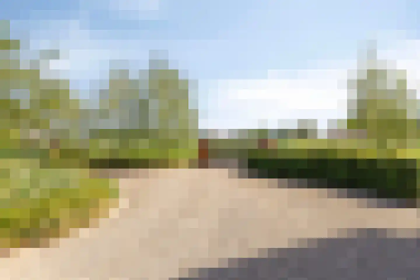 de Stege 1 Veessen thumbnail 46