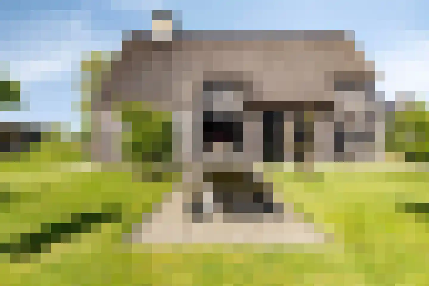 de Stege 1 Veessen thumbnail 50