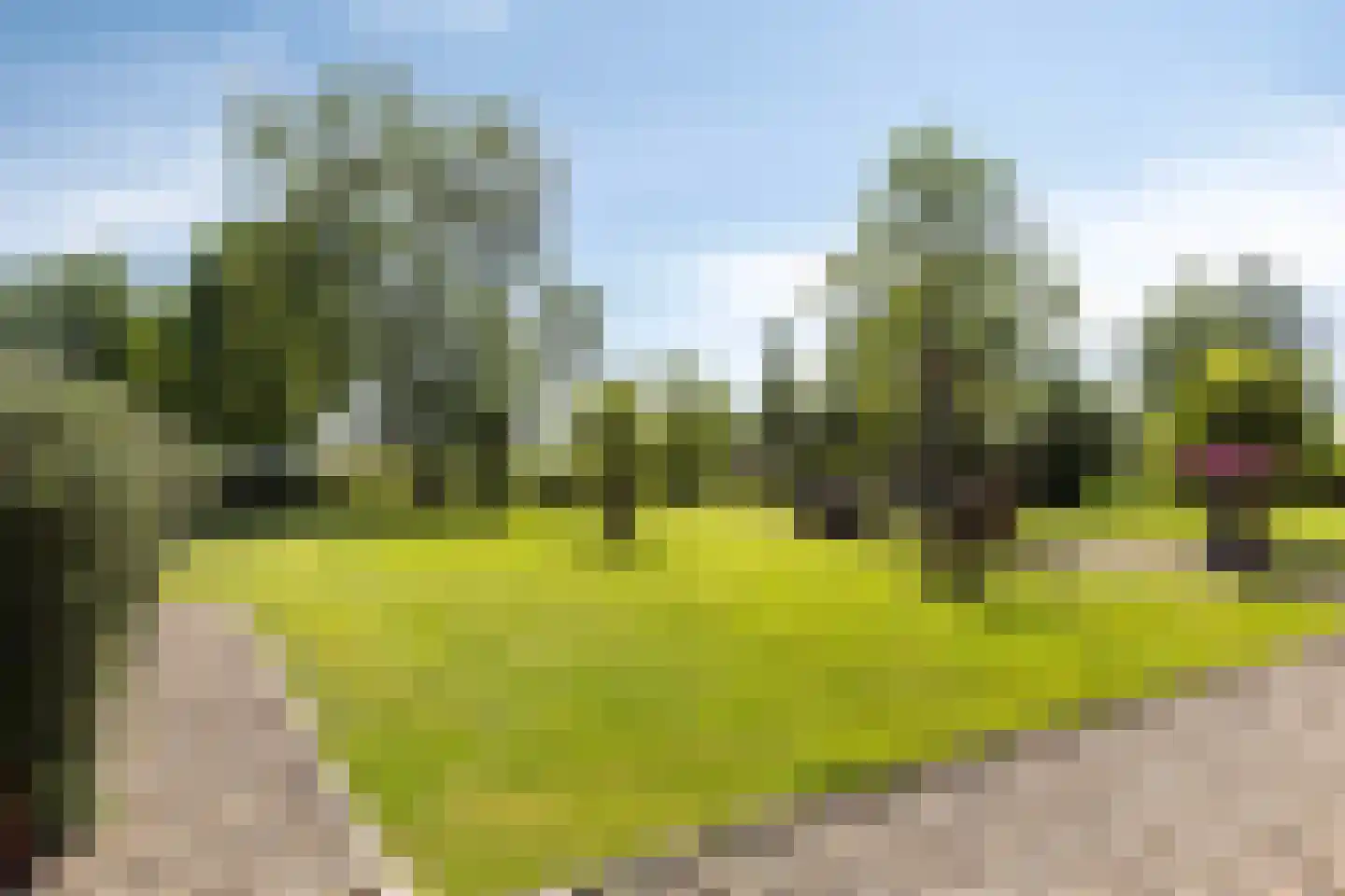 de Stege 1 Veessen thumbnail 52