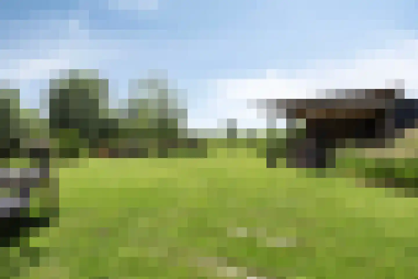 de Stege 1 Veessen thumbnail 53