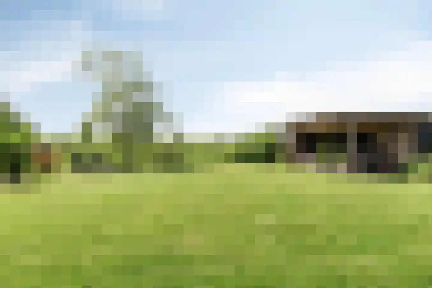 de Stege 1 Veessen thumbnail 54
