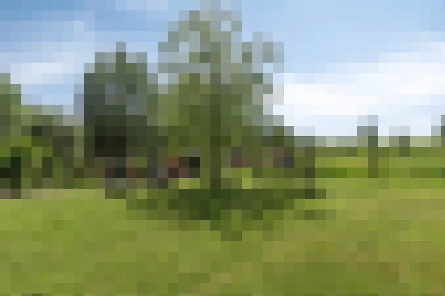 de Stege 1 Veessen thumbnail 55