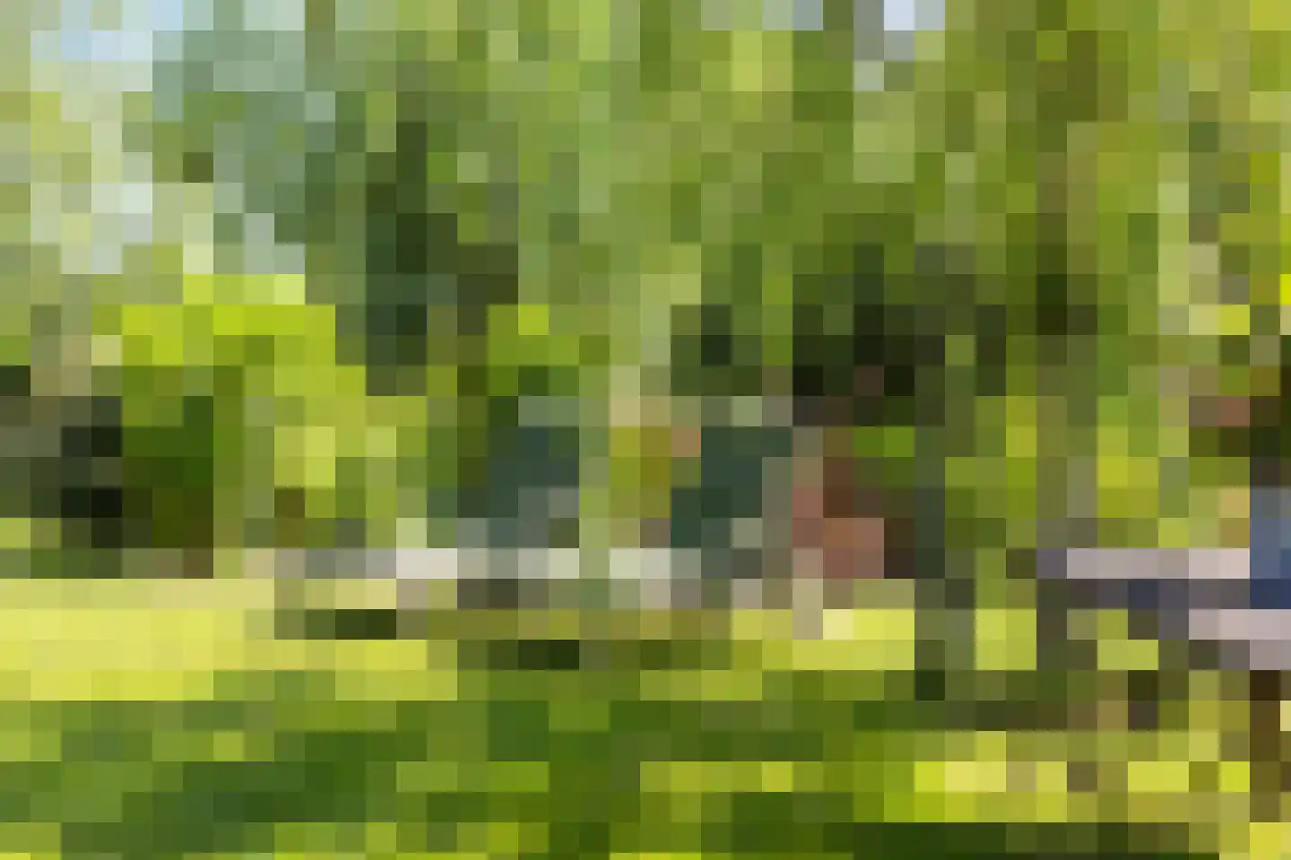 de Stege 1 Veessen thumbnail 56