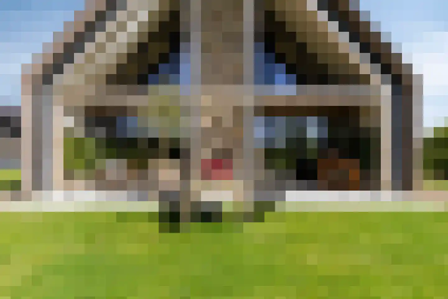 de Stege 1 Veessen thumbnail 60