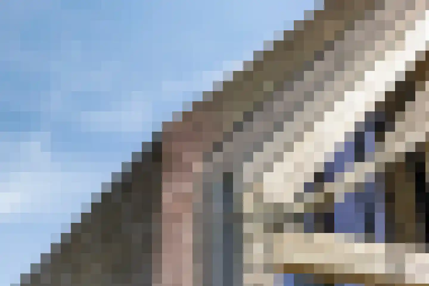 de Stege 1 Veessen thumbnail 62