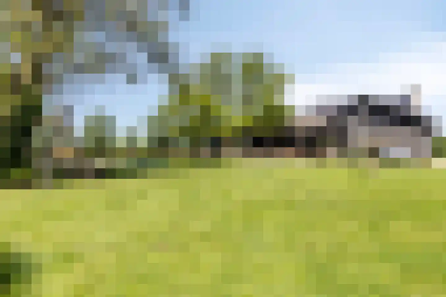 de Stege 1 Veessen thumbnail 65