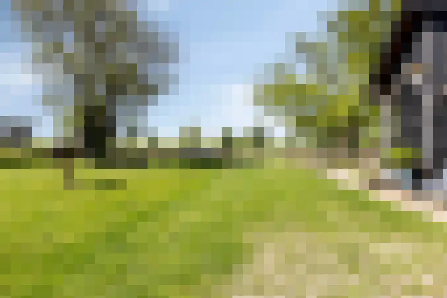 de Stege 1 Veessen thumbnail 66