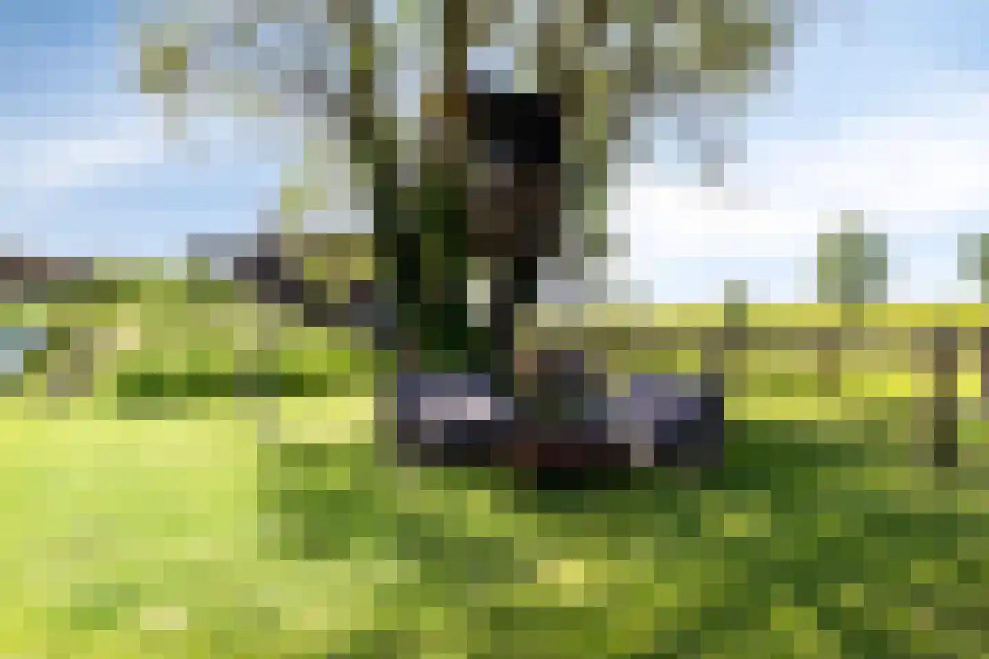 de Stege 1 Veessen thumbnail 67