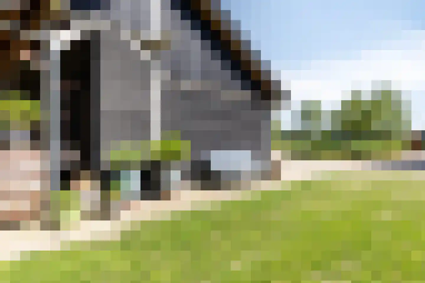de Stege 1 Veessen thumbnail 71