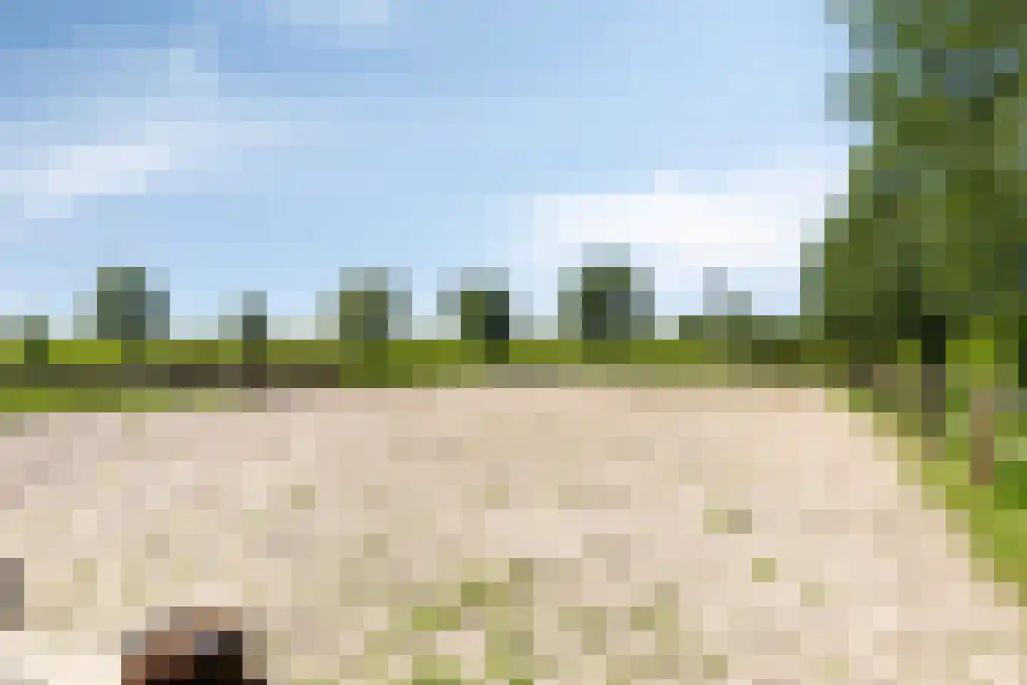 de Stege 1 Veessen thumbnail 72