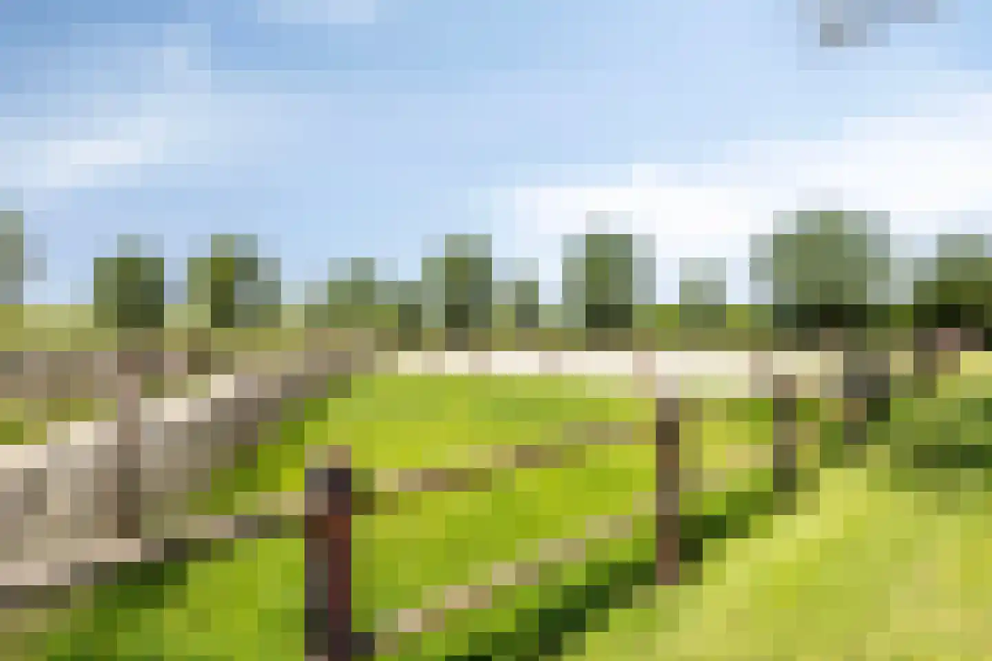 de Stege 1 Veessen thumbnail 73