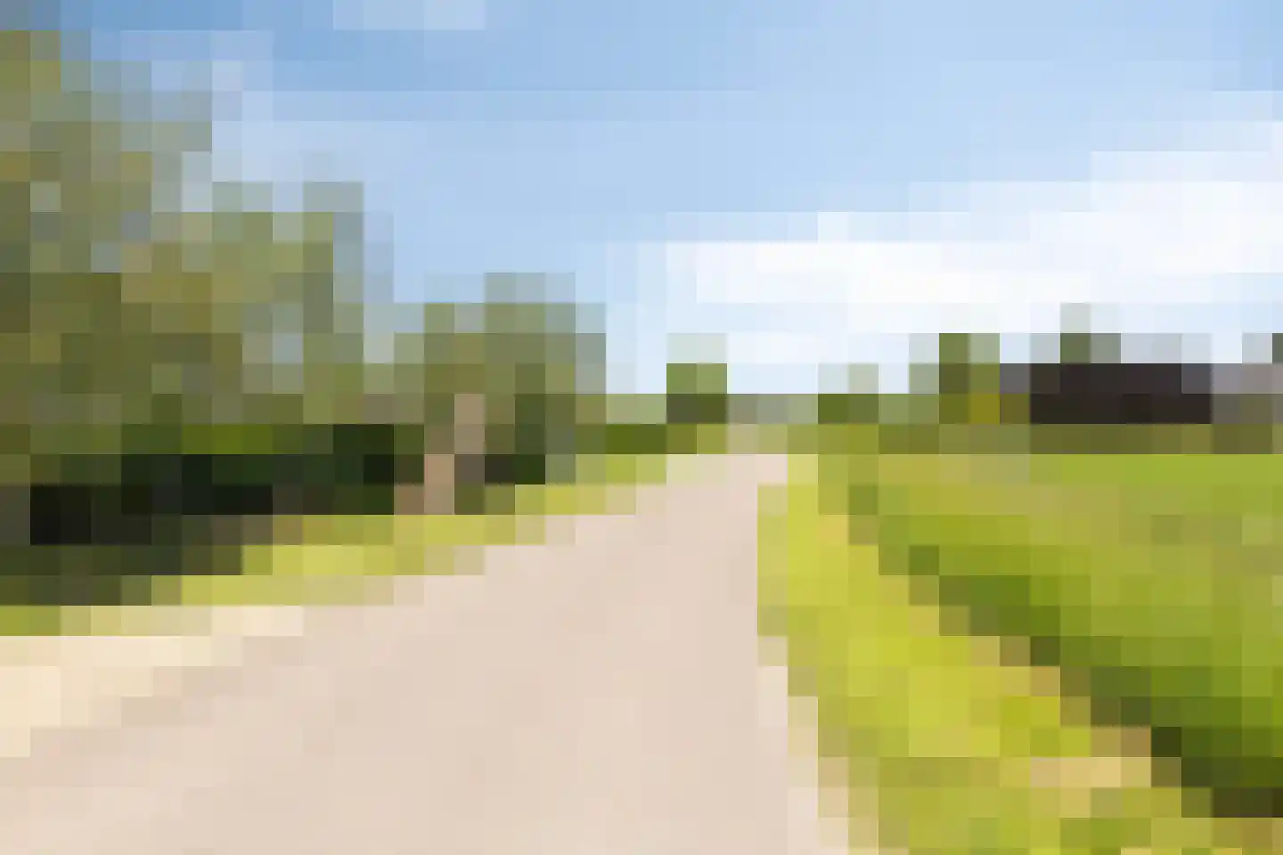 de Stege 1 Veessen thumbnail 74
