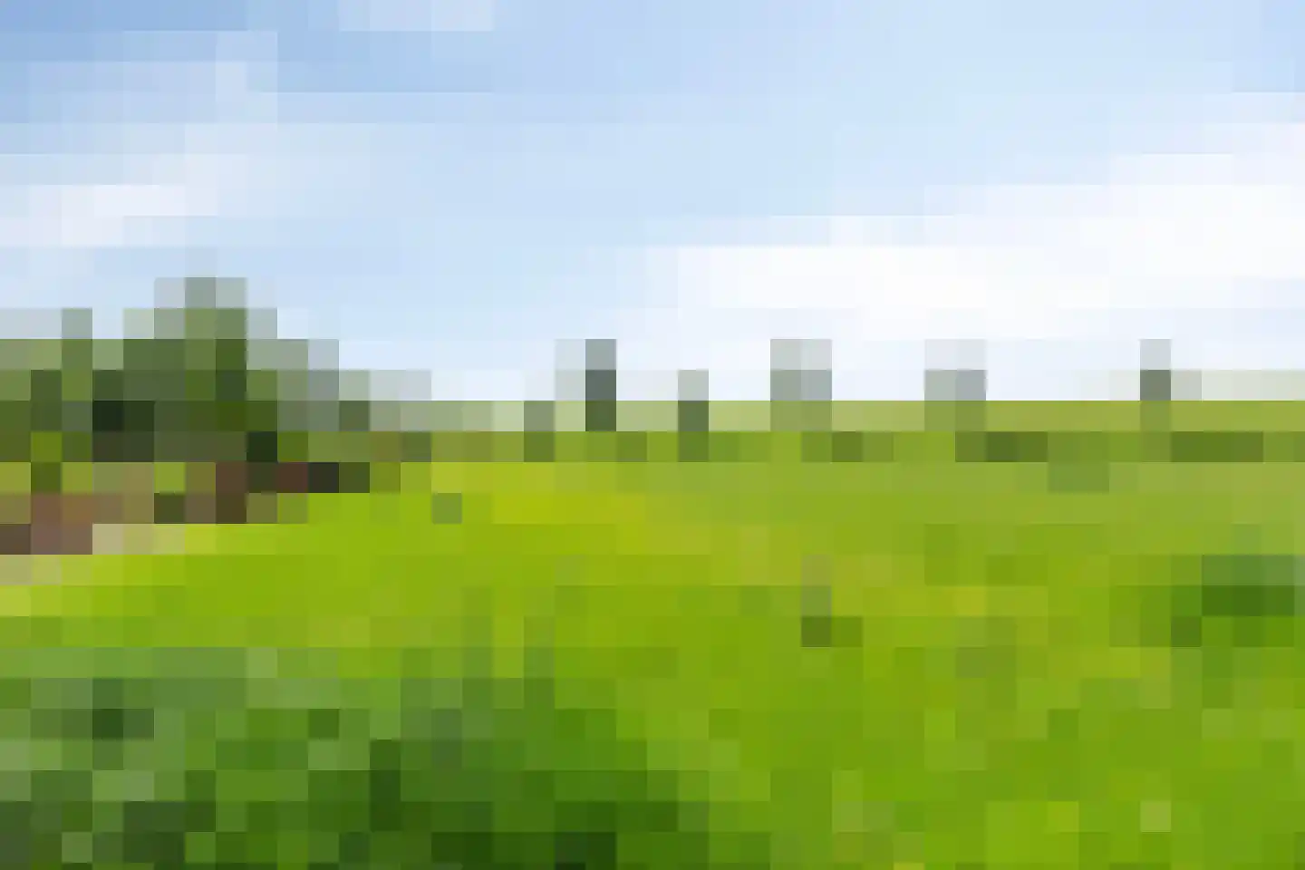 de Stege 1 Veessen thumbnail 75