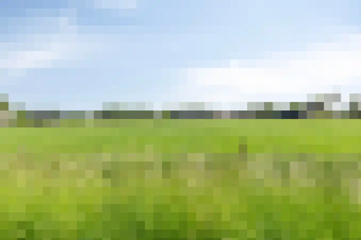 de Stege 1 Veessen thumbnail 76