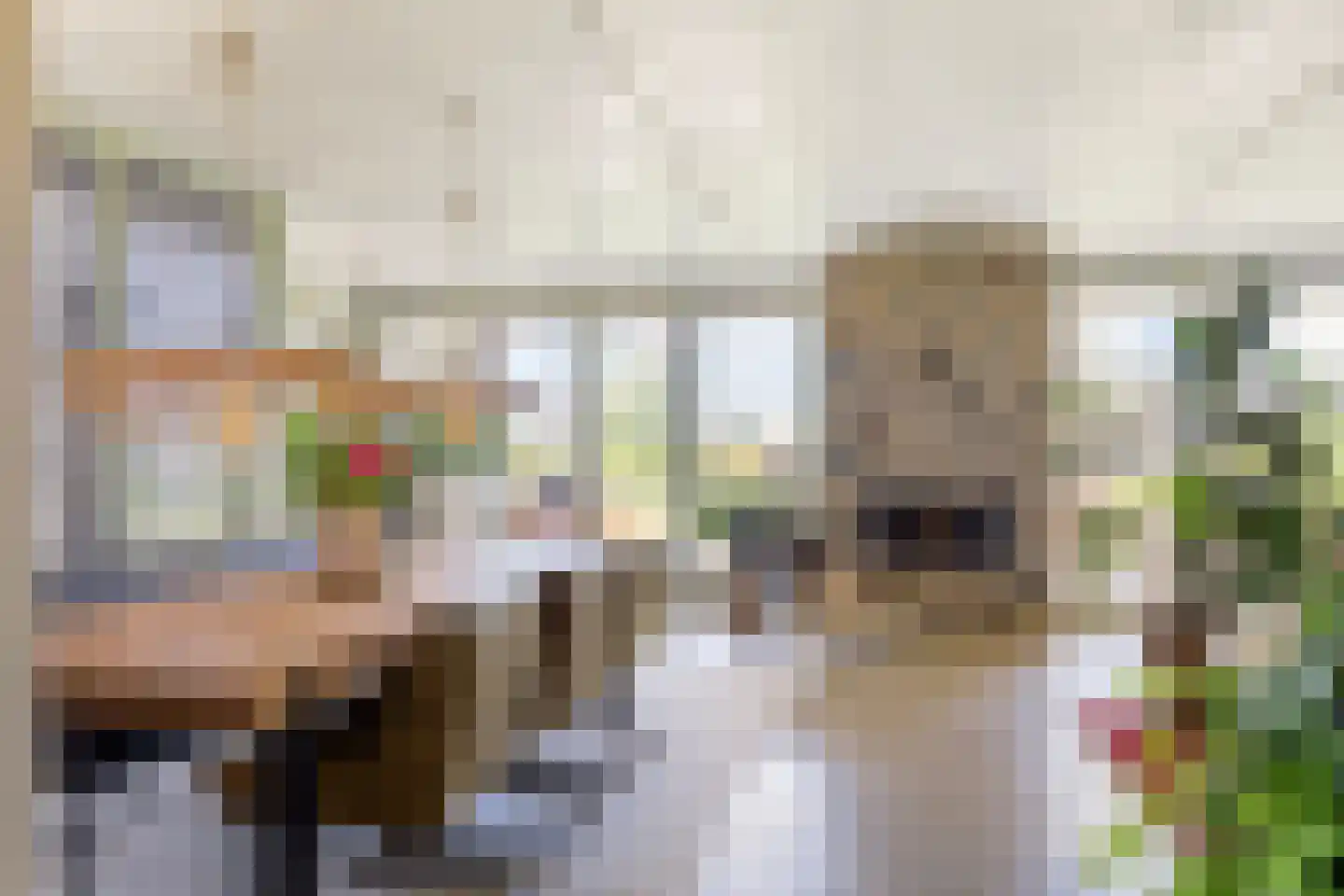de Stege 1 Veessen thumbnail 9