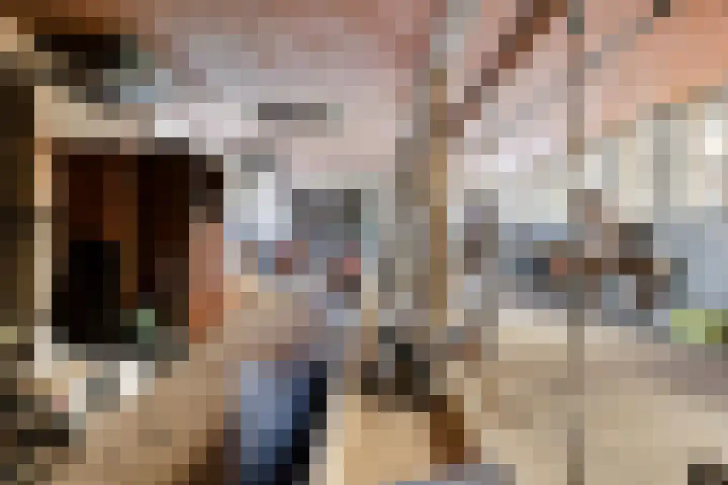 de Stegge 13 Lievelde thumbnail 27