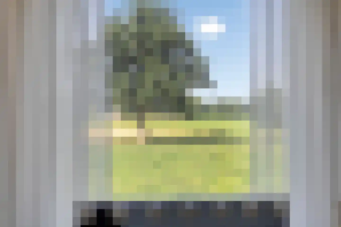 de Stegge 13 Lievelde thumbnail 36