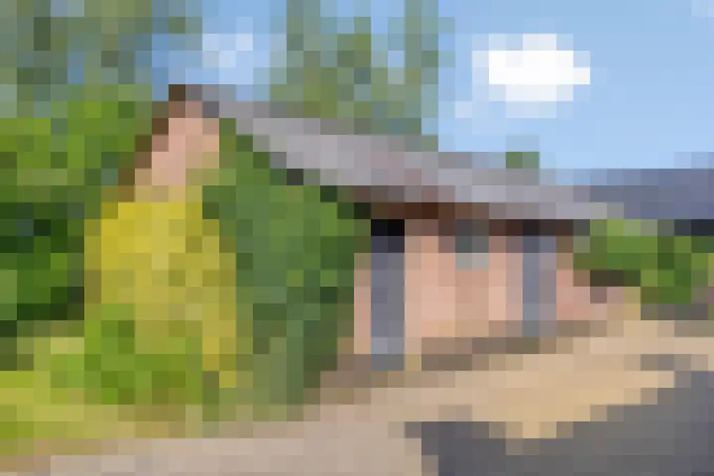 de Stegge 13 Lievelde thumbnail 37