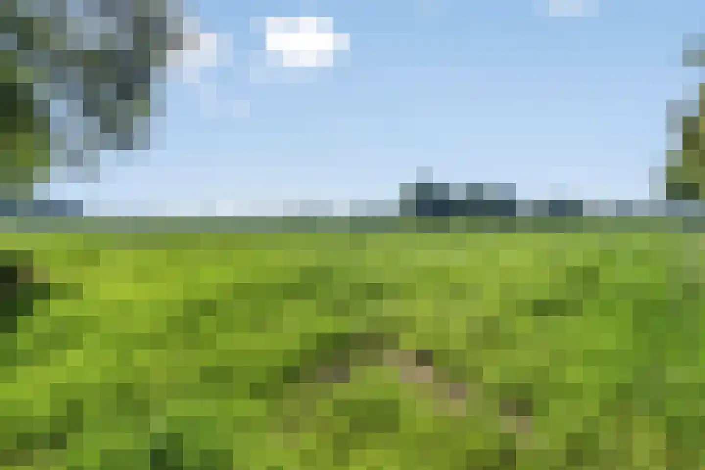 de Stegge 13 Lievelde thumbnail 48