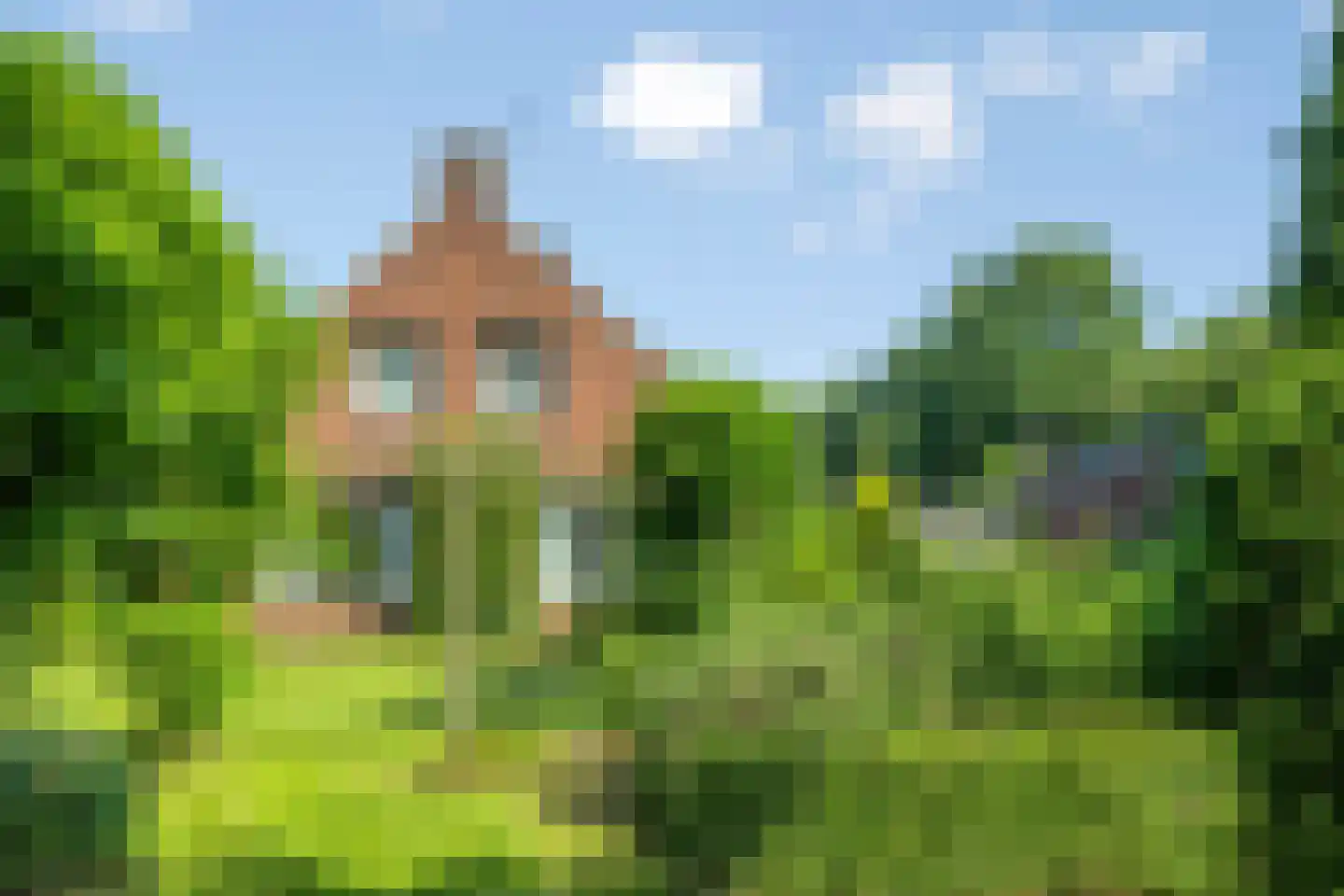 de Stegge 13 Lievelde thumbnail 5
