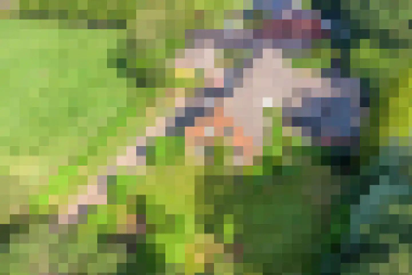 de Stegge 13 Lievelde thumbnail 6