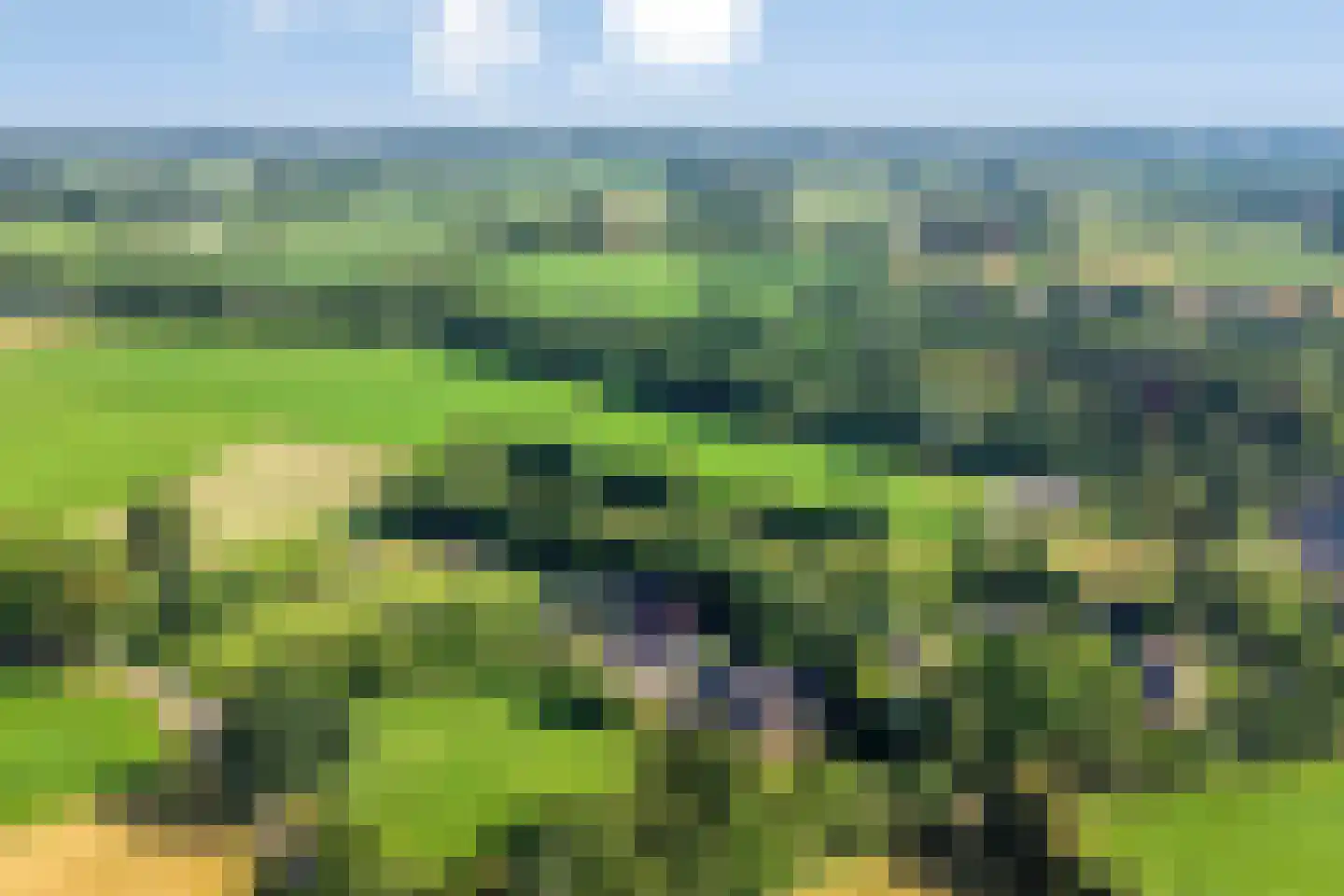 de Stegge 13 Lievelde thumbnail 7