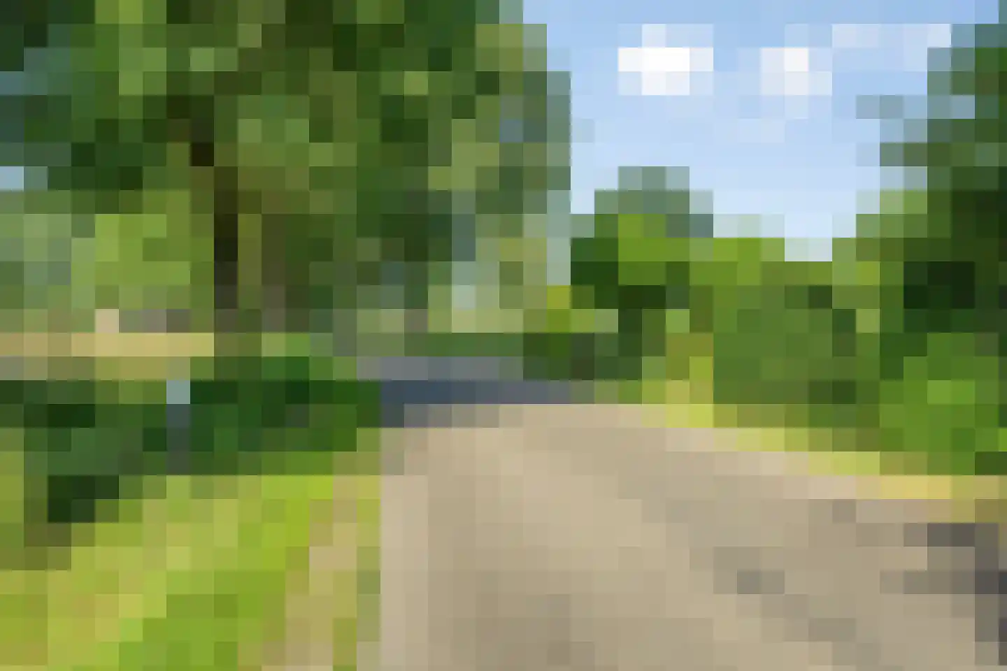 de Stegge 13 Lievelde thumbnail 8