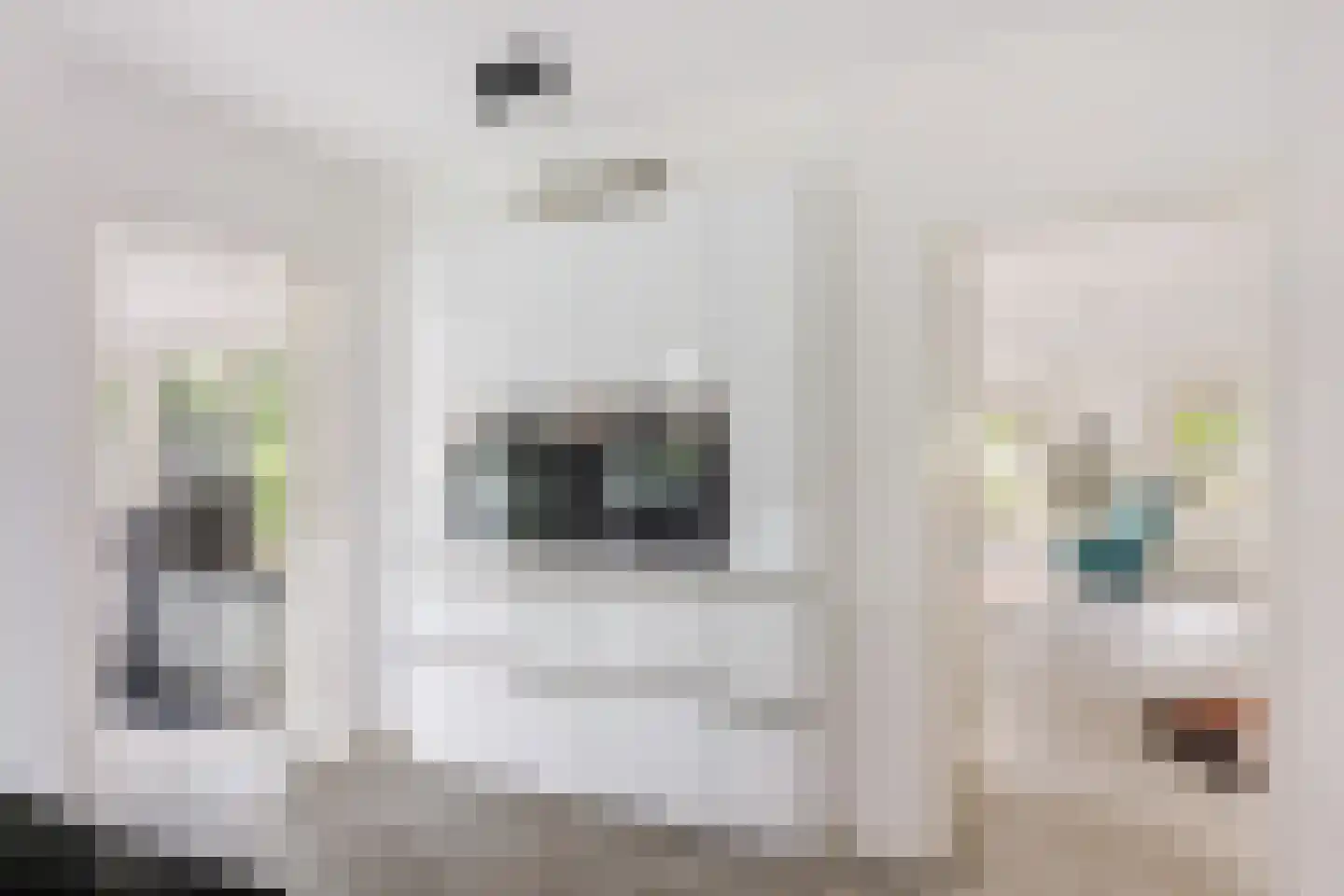 de Stegge 17 Lievelde thumbnail 17