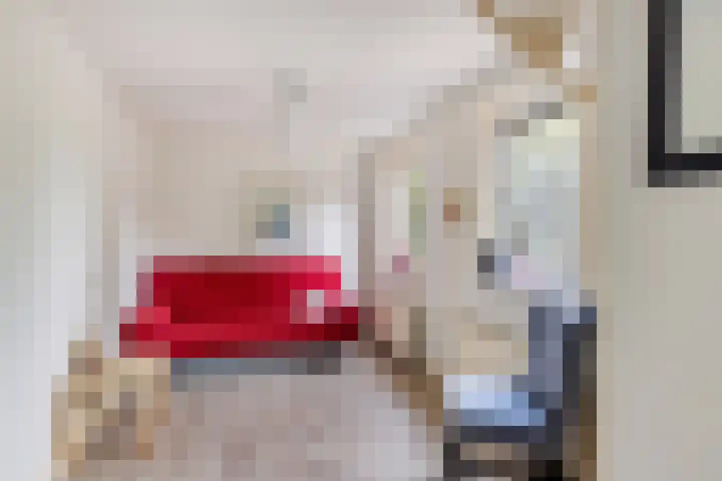 de Stegge 17 Lievelde thumbnail 21