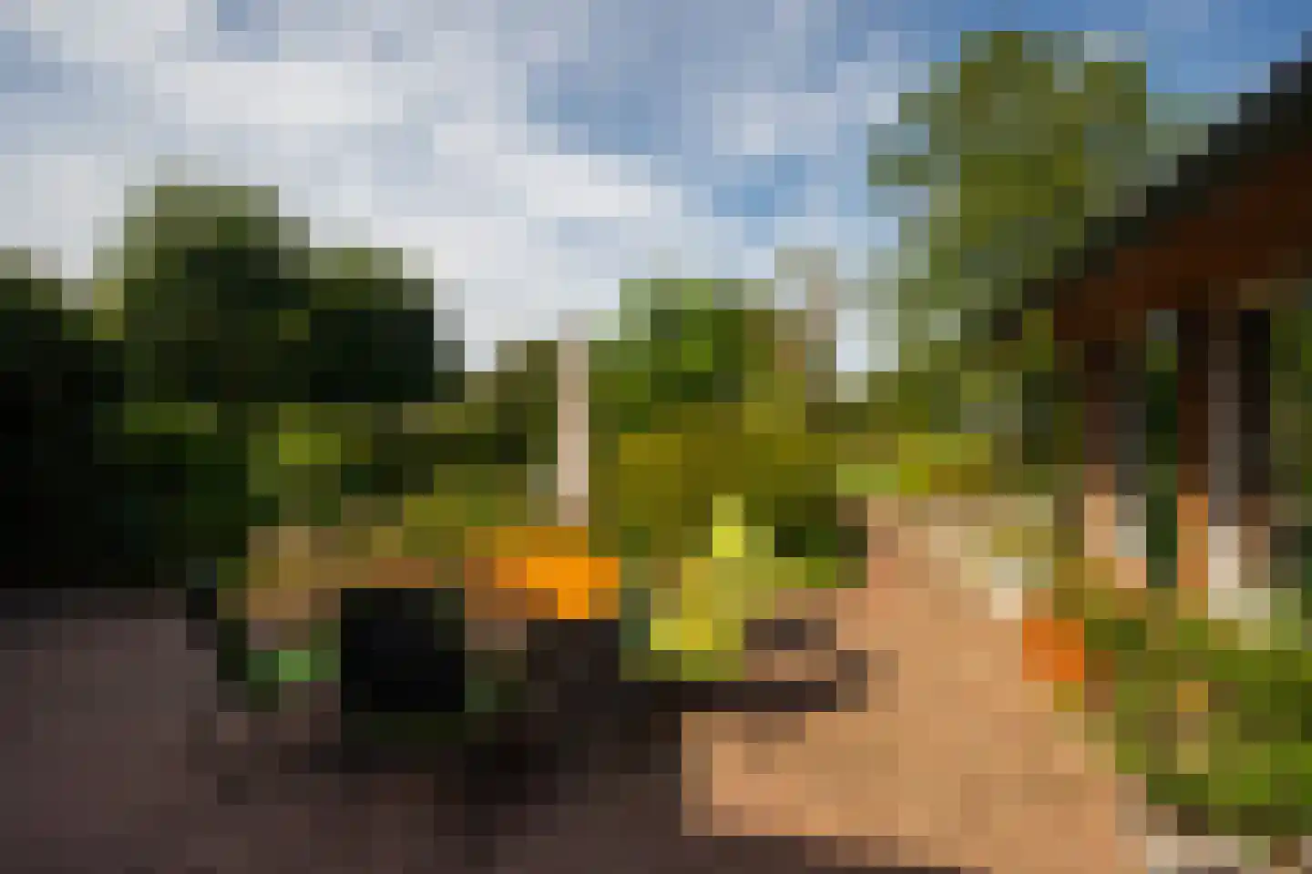 de Stegge 17 Lievelde thumbnail 53