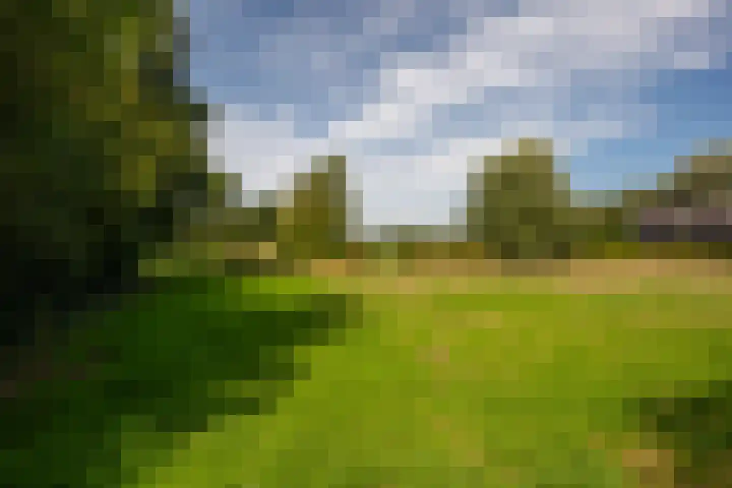 de Stegge 17 Lievelde thumbnail 58