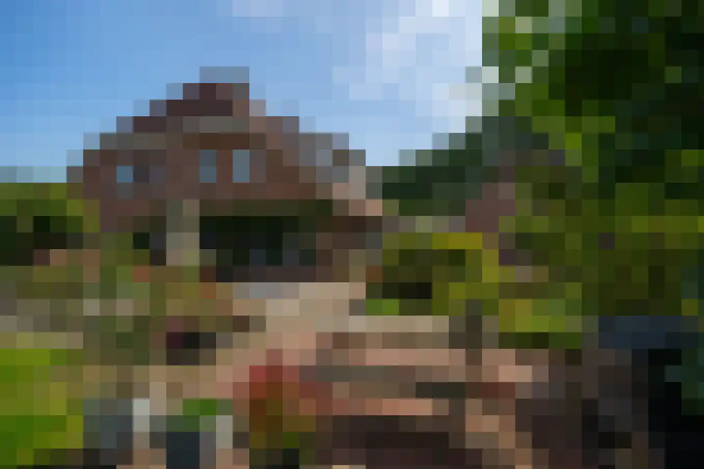 de Stegge 17 Lievelde thumbnail 60