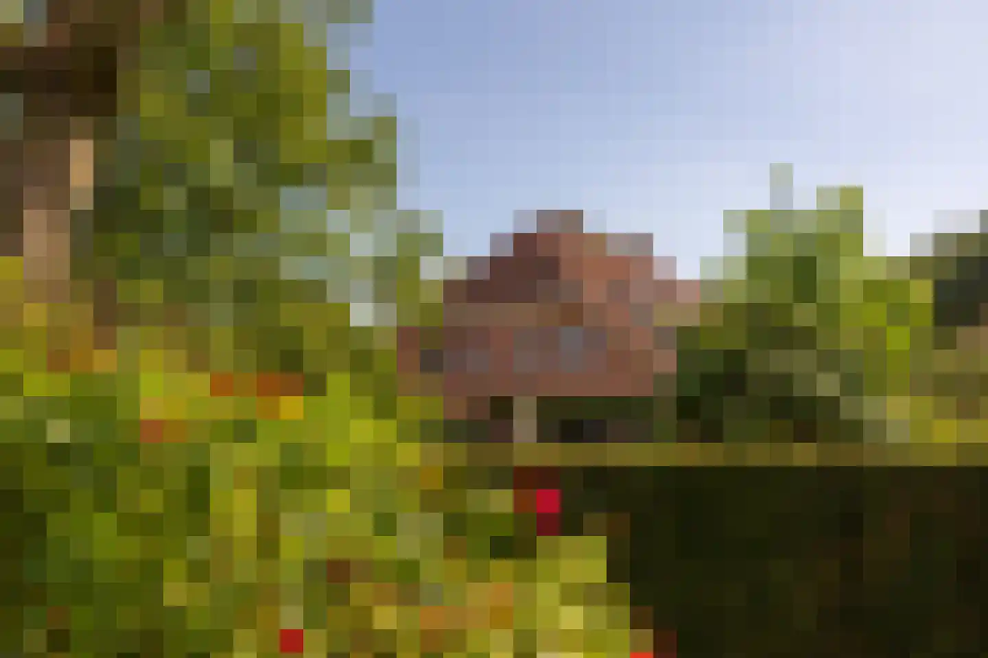 de Stegge 17 Lievelde thumbnail 61