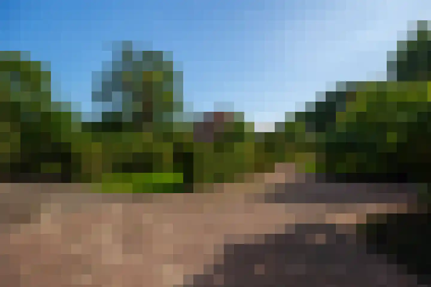 de Stegge 17 Lievelde thumbnail 62