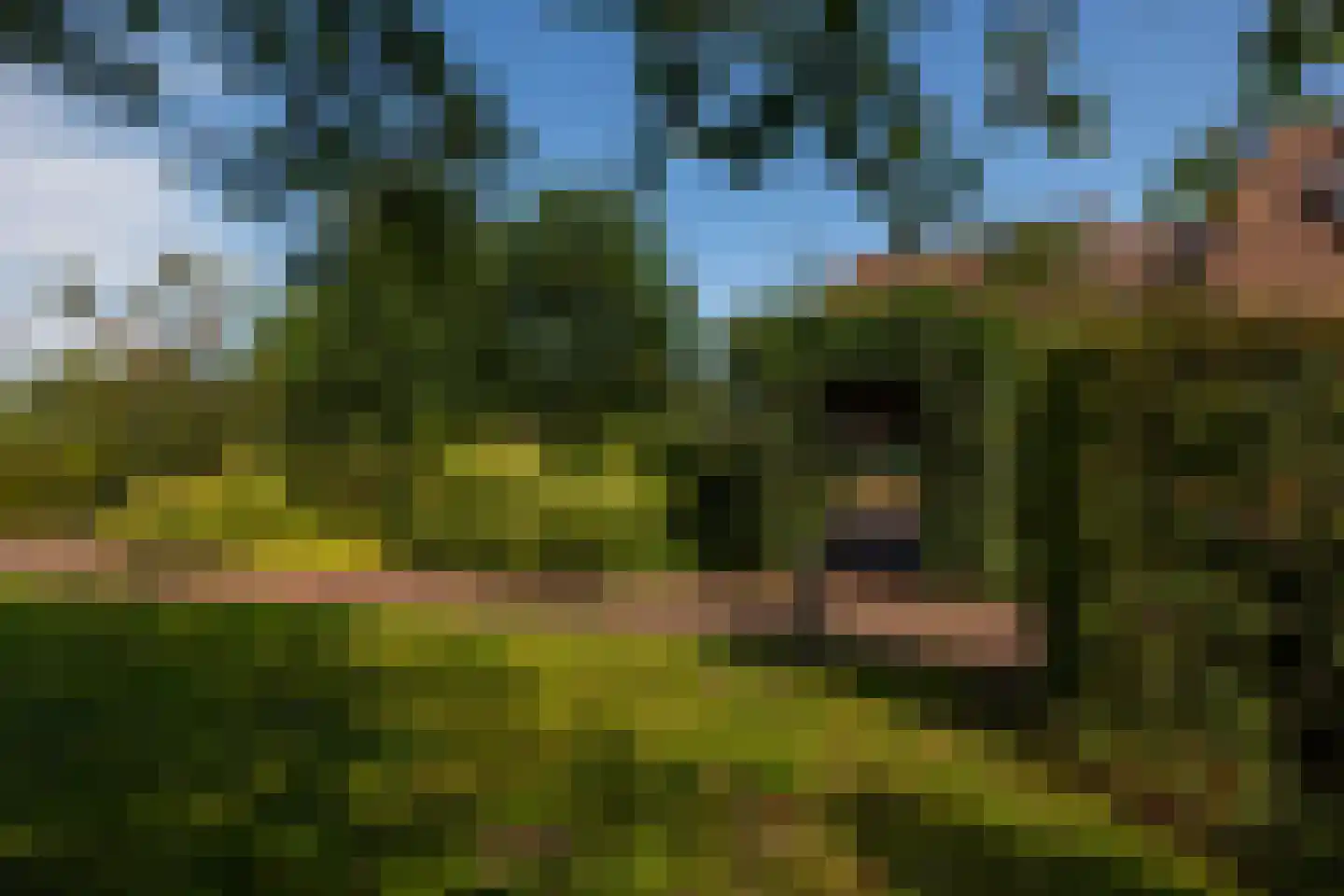 de Stegge 17 Lievelde thumbnail 64