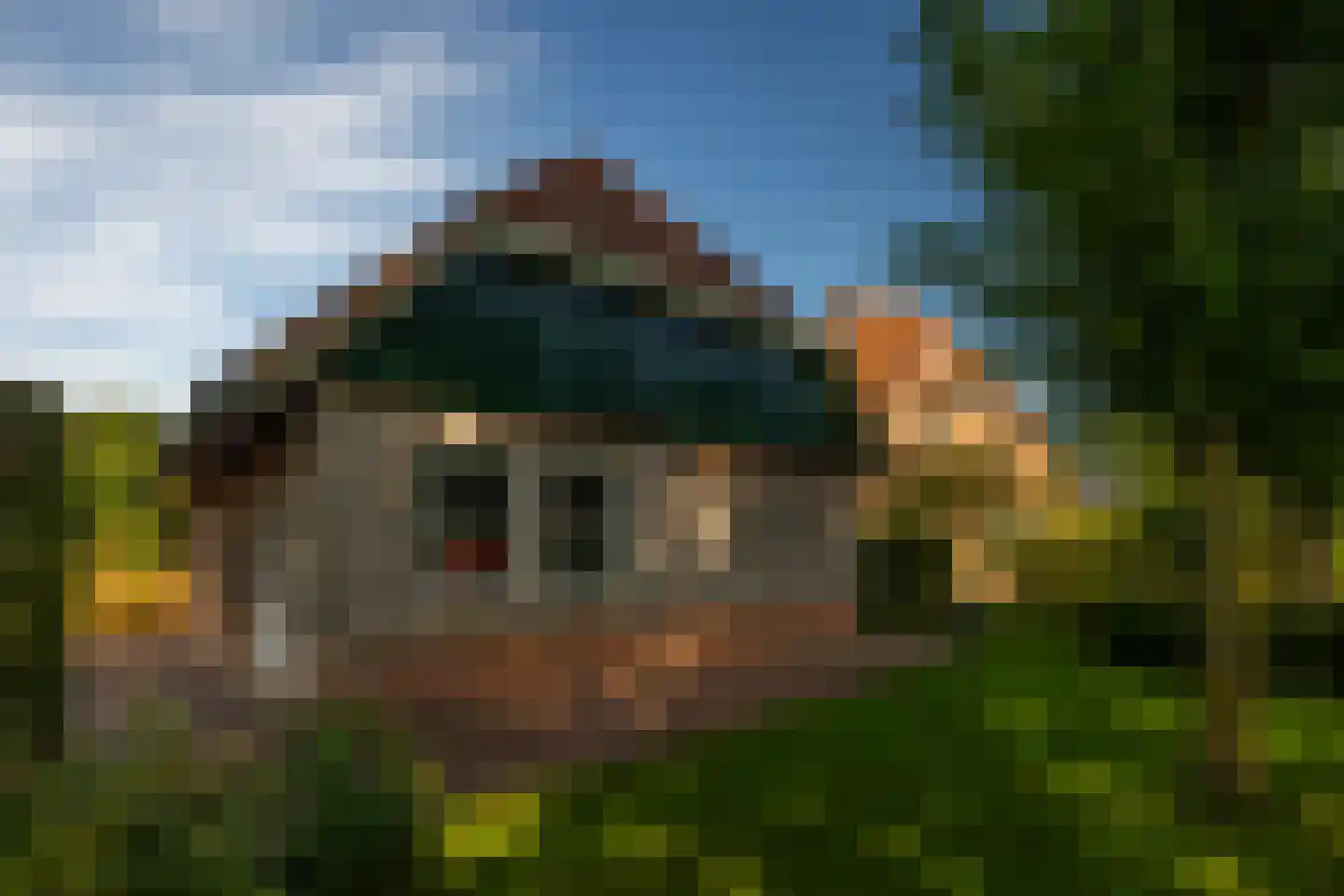 de Stegge 17 Lievelde thumbnail 66