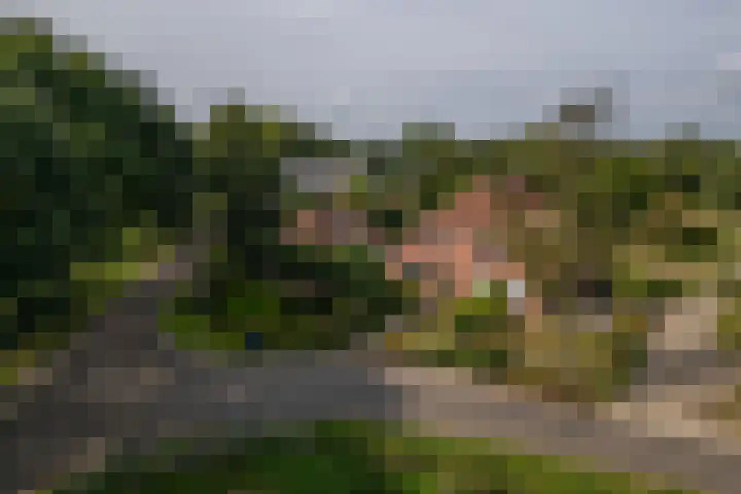 de Stegge 17 Lievelde thumbnail 70