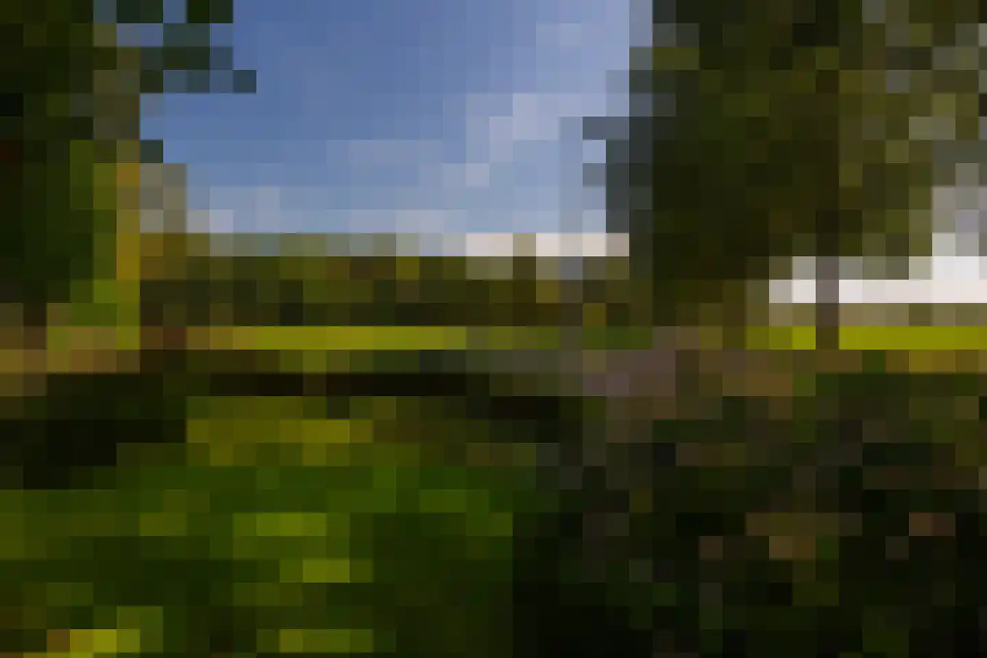 de Stegge 17 Lievelde thumbnail 71