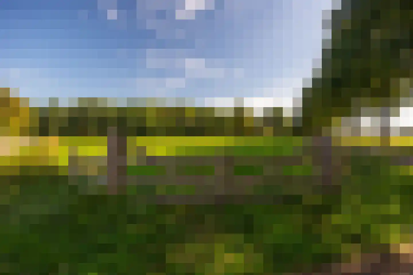 de Stegge 17 Lievelde thumbnail 72