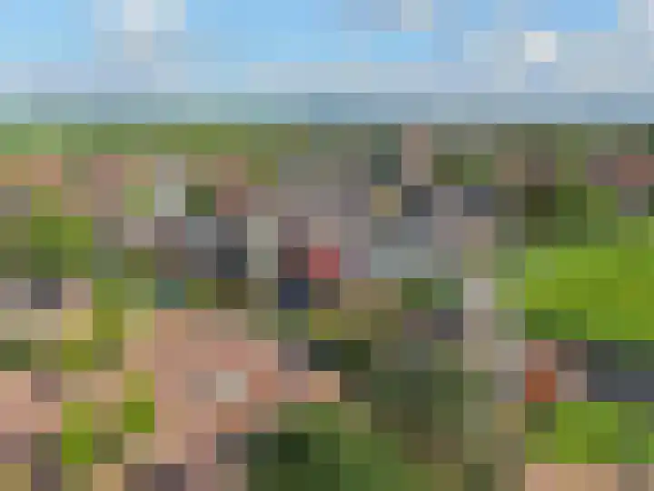 De Steiger 8 Bunschoten-Spakenburg thumbnail 10