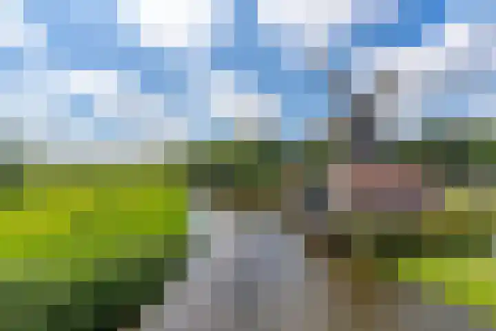 De Steiger 8 Bunschoten-Spakenburg thumbnail 11